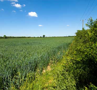 Manor Farm B&B - Kelmscott