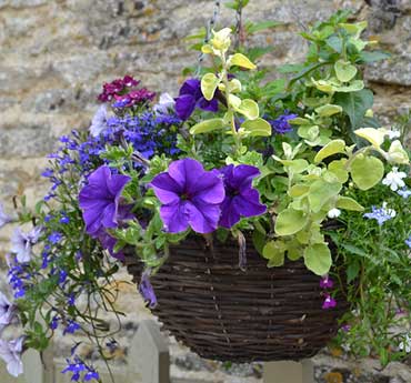 Manor Farm B&B - Kelmscott